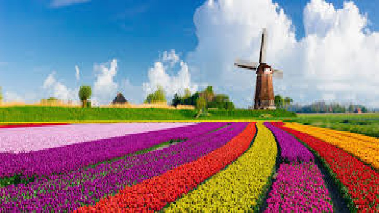 Amsterdam Spring Cultural & Food Festival